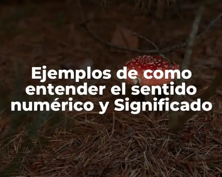 Ejemplos de como entender el sentido numérico y Significado