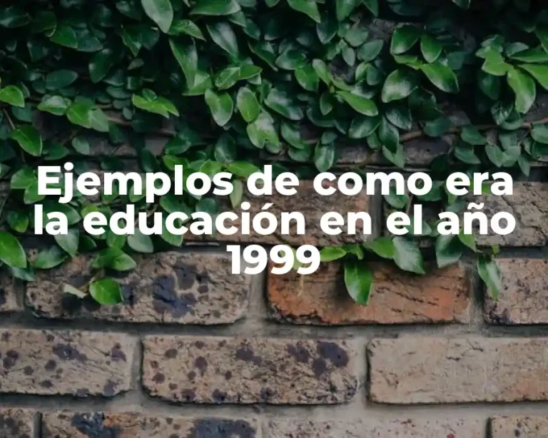 Ejemplos de como era la educación en el año 1999