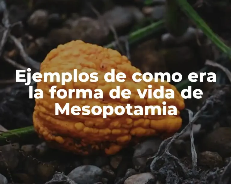 Ejemplos de como era la forma de vida de Mesopotamia