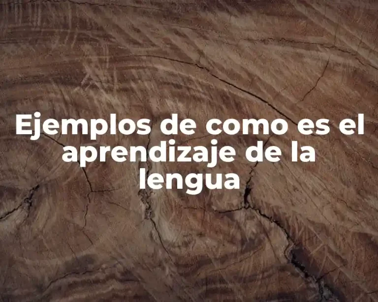 Ejemplos de como es el aprendizaje de la lengua