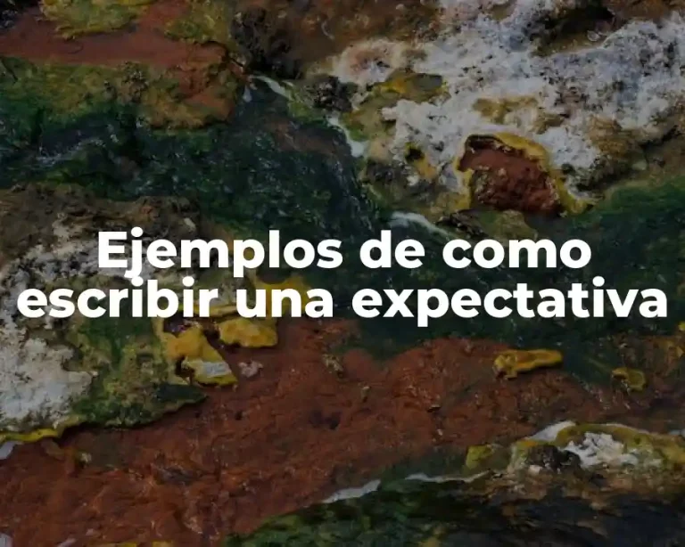 Ejemplos de como escribir una expectativa