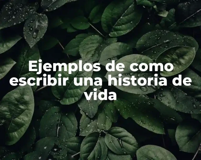 Ejemplos de como escribir una historia de vida