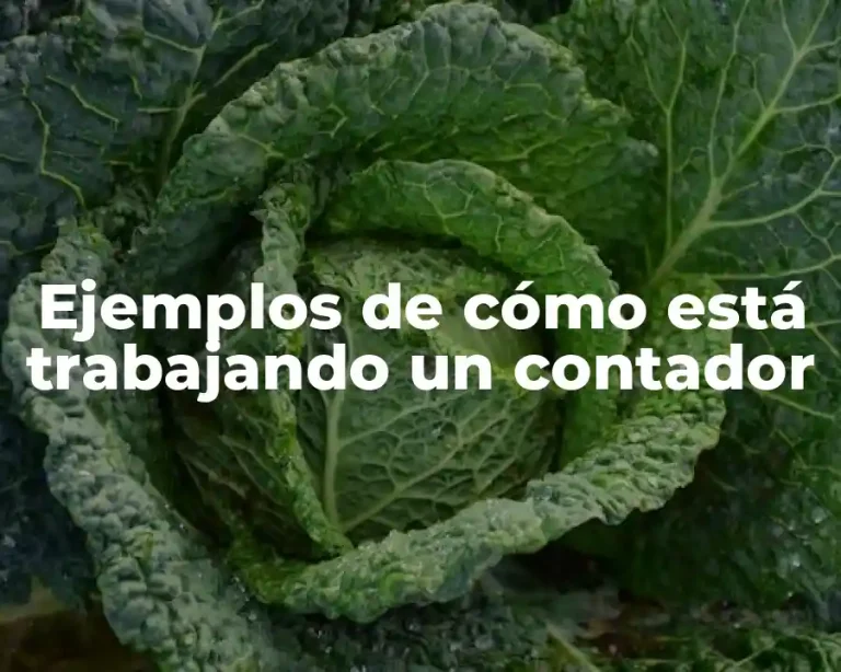 Ejemplos de cómo está trabajando un contador