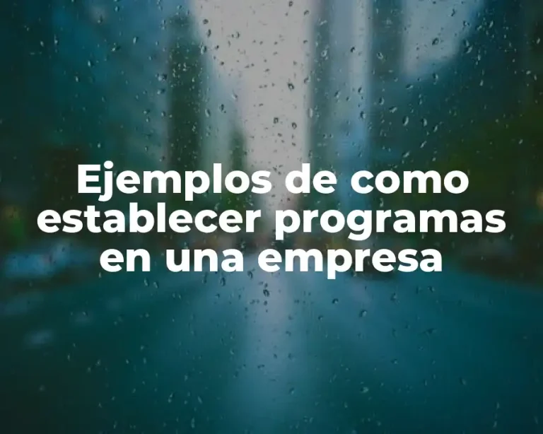 Ejemplos de como establecer programas en una empresa