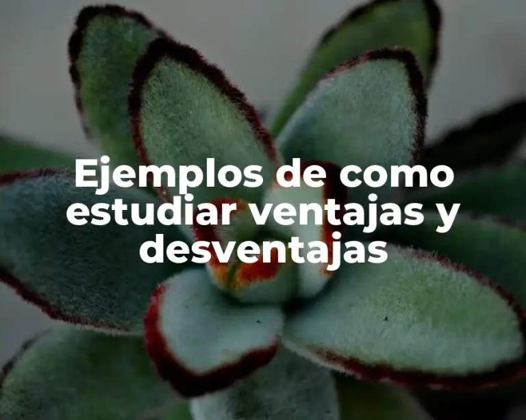 Ejemplos de como estudiar ventajas y desventajas
