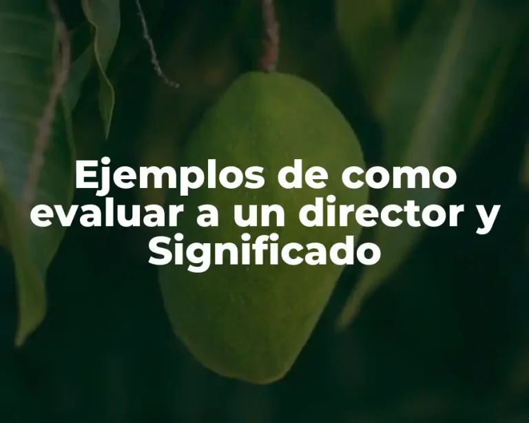 Ejemplos de como evaluar a un director y Significado