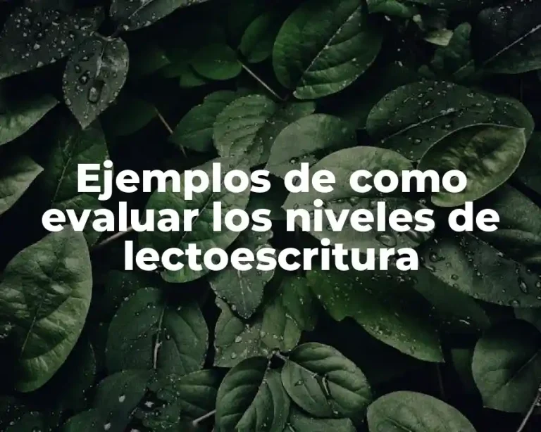 Ejemplos de como evaluar los niveles de lectoescritura