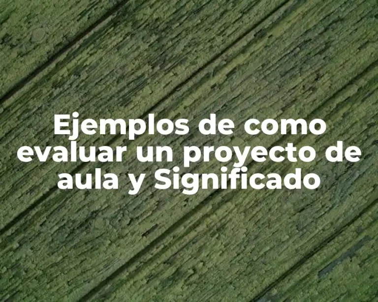 Ejemplos de como evaluar un proyecto de aula y Significado