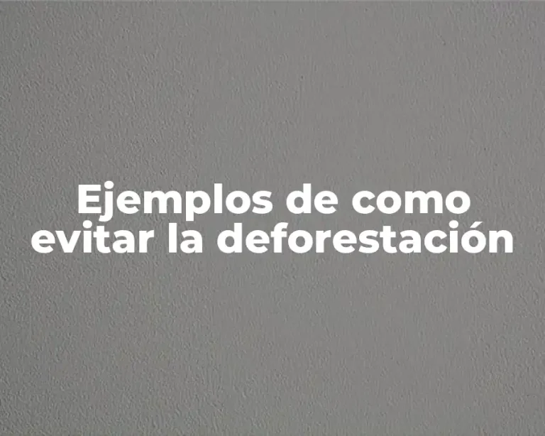 Ejemplos de como evitar la deforestación