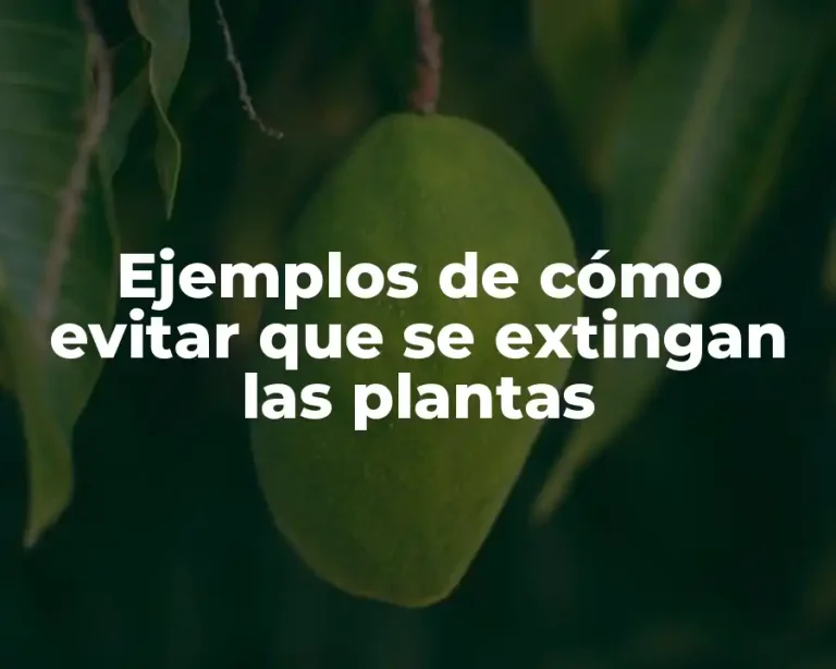 Ejemplos de cómo evitar que se extingan las plantas
