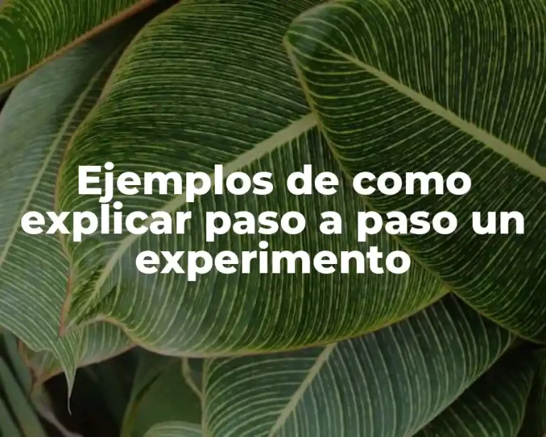 Ejemplos de como explicar paso a paso un experimento