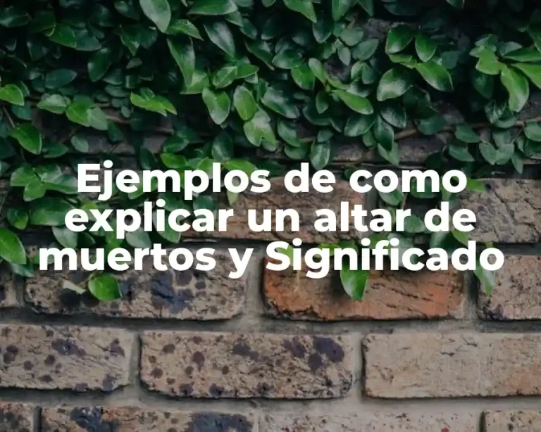 Ejemplos de como explicar un altar de muertos y Significado