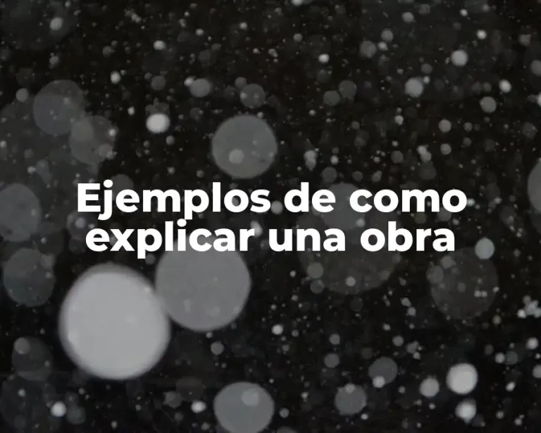 Ejemplos de como explicar una obra