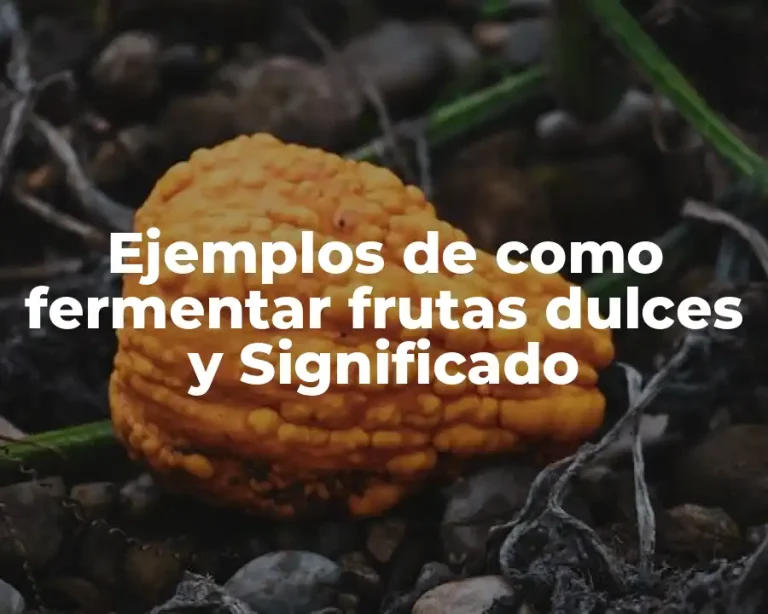 Ejemplos de como fermentar frutas dulces y Significado