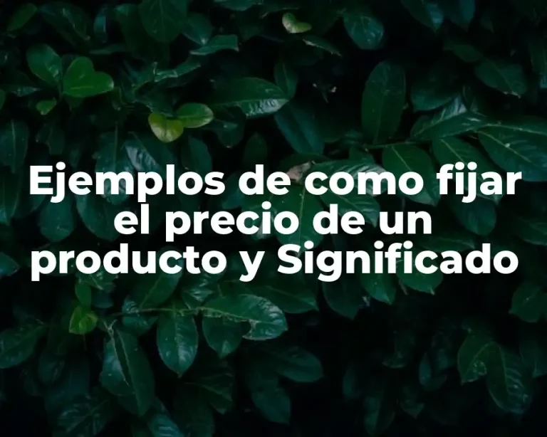 Ejemplos de como fijar el precio de un producto y Significado