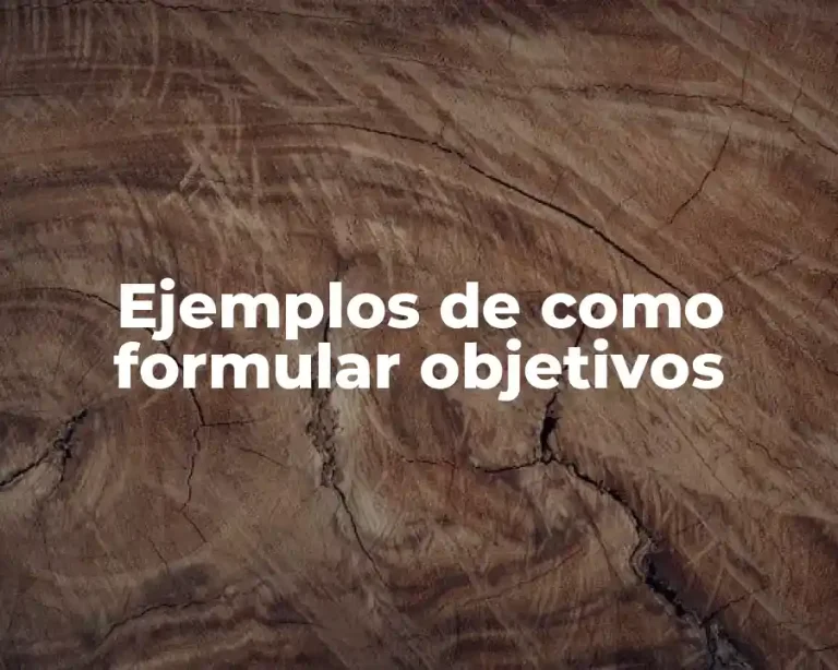 Ejemplos de como formular objetivos