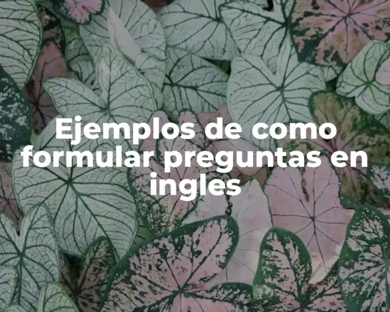 Ejemplos de como formular preguntas en ingles