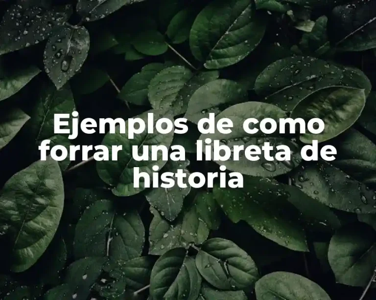 Ejemplos de como forrar una libreta de historia