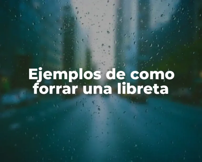 Ejemplos de como forrar una libreta