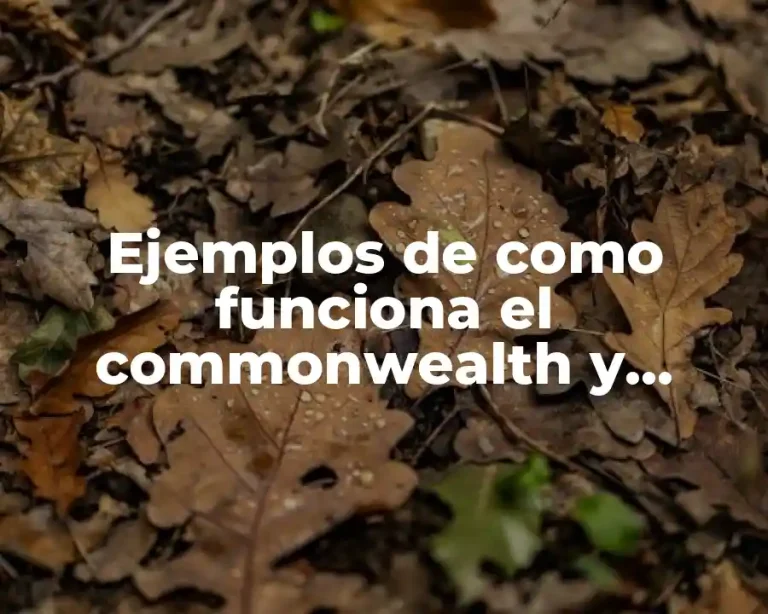 Ejemplos de como funciona el commonwealth y Significado