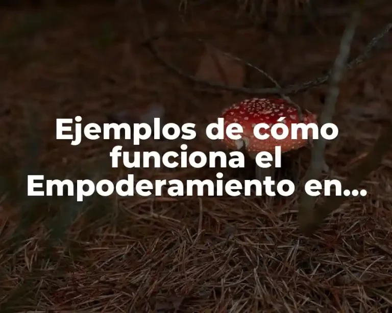 Ejemplos de cómo funciona el Empoderamiento en una empresa