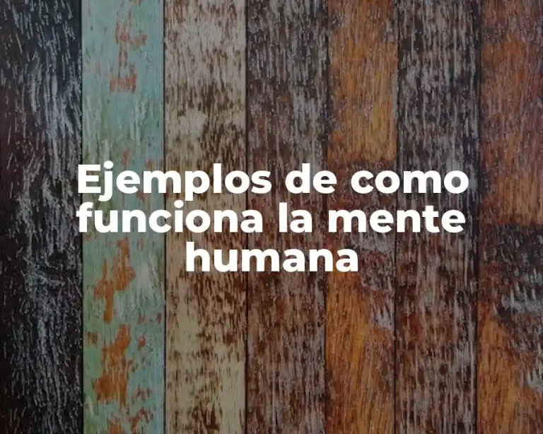 Ejemplos de como funciona la mente humana