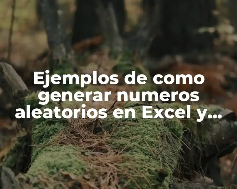 Ejemplos de como generar numeros aleatorios en Excel y Significado