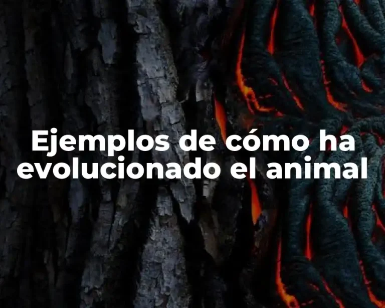 Ejemplos de cómo ha evolucionado el animal