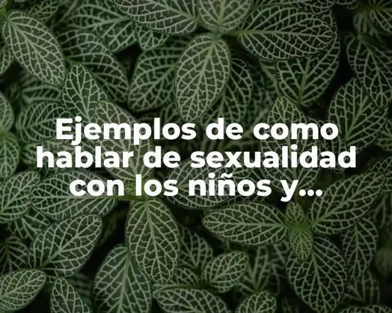 Ejemplos de como hablar de sexualidad con los niños y Significado