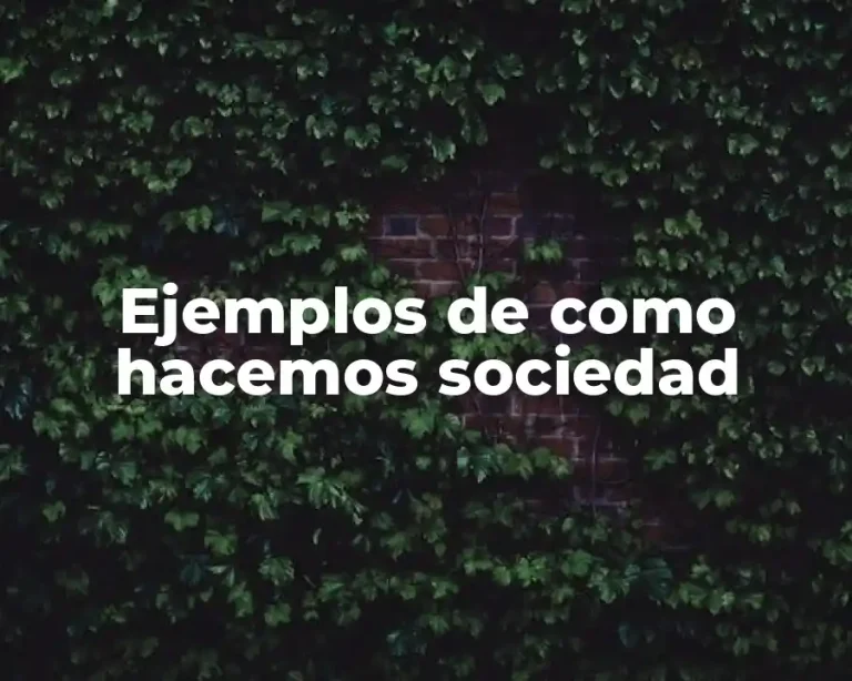 Ejemplos de como hacemos sociedad