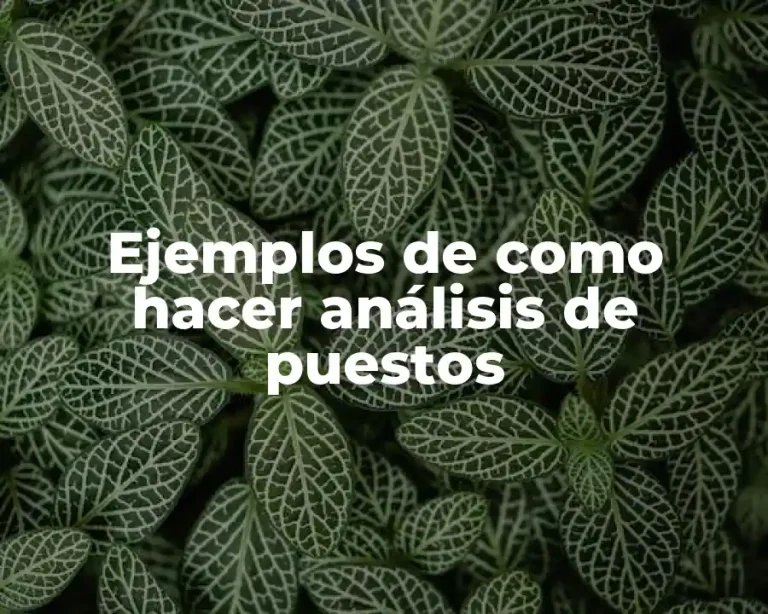 Ejemplos de como hacer análisis de puestos