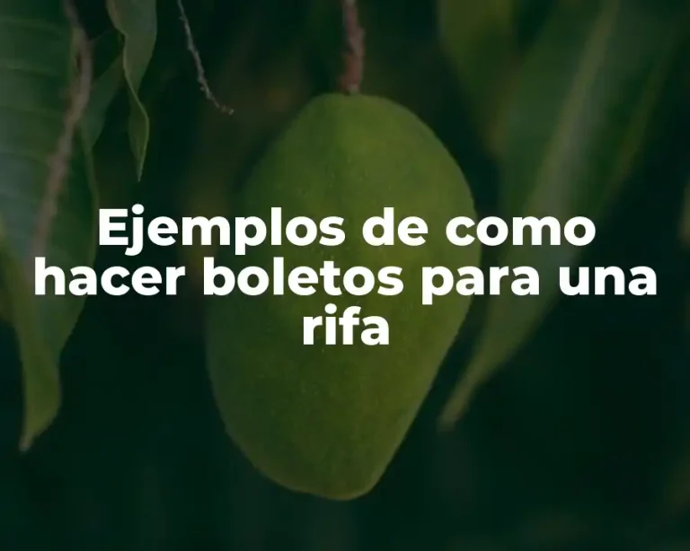 Ejemplos de como hacer boletos para una rifa