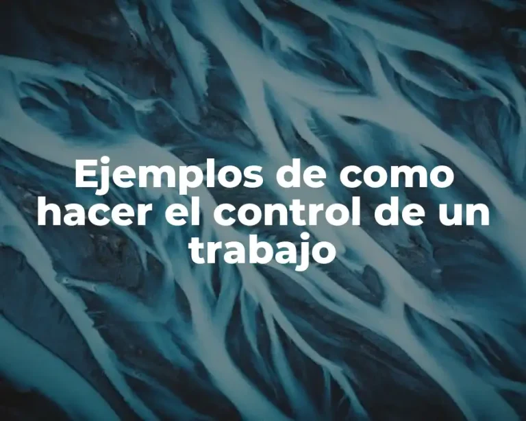 Ejemplos de como hacer el control de un trabajo