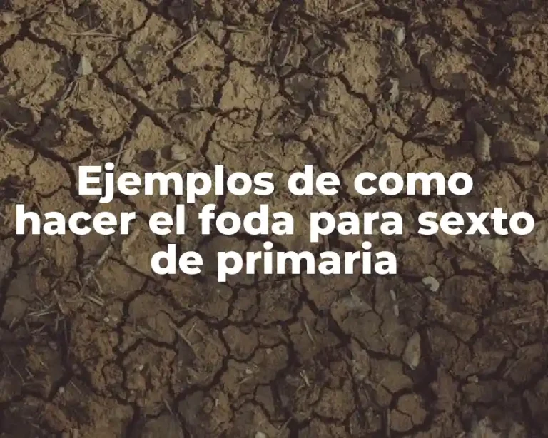 Ejemplos de como hacer el foda para sexto de primaria