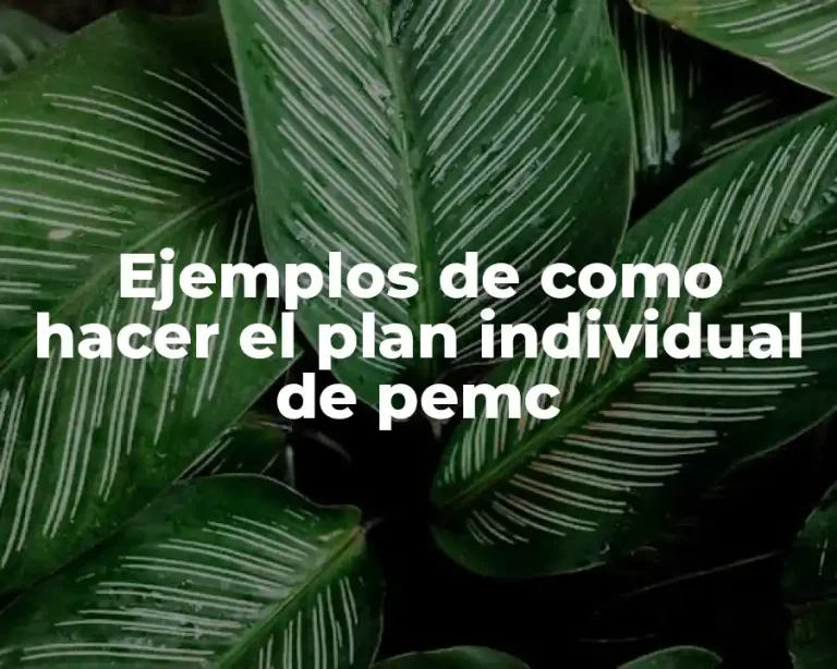 Ejemplos de como hacer el plan individual de pemc
