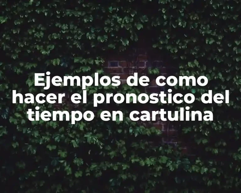 Ejemplos de como hacer el pronostico del tiempo en cartulina