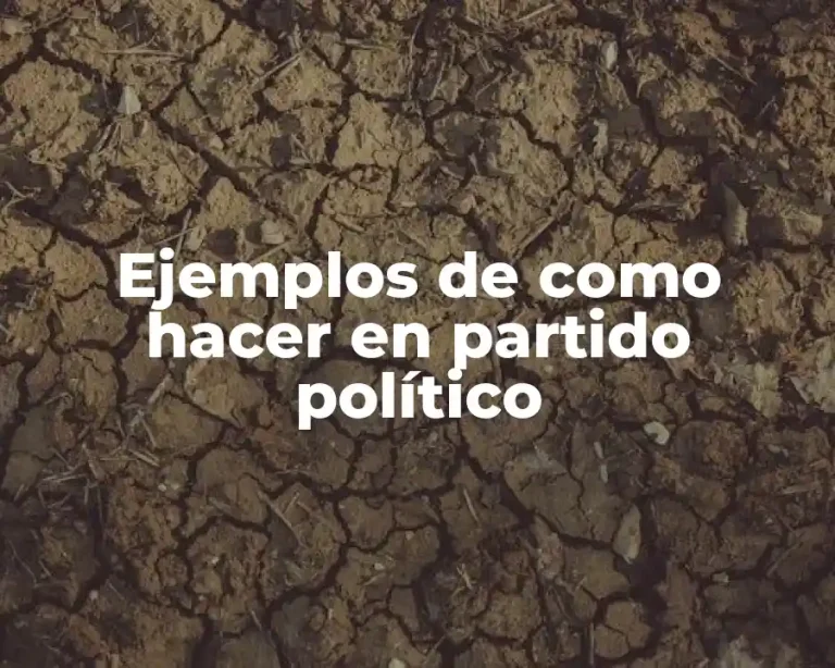Ejemplos de como hacer en partido político