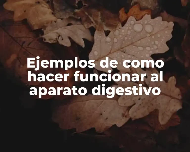 Ejemplos de como hacer funcionar al aparato digestivo