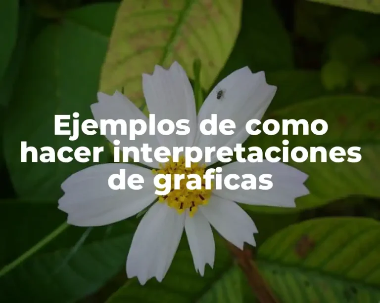 Ejemplos de como hacer interpretaciones de graficas