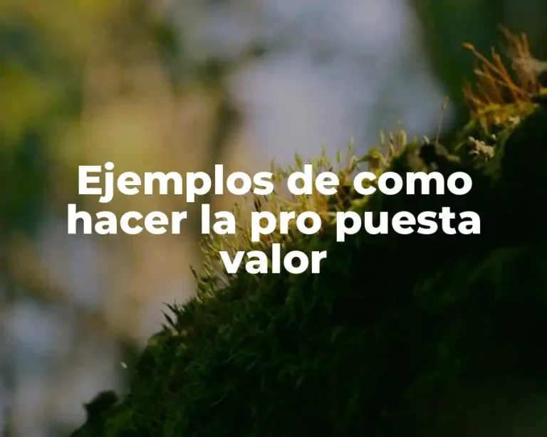 Ejemplos de como hacer la pro puesta valor