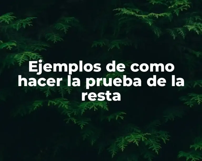 Ejemplos de como hacer la prueba de la resta