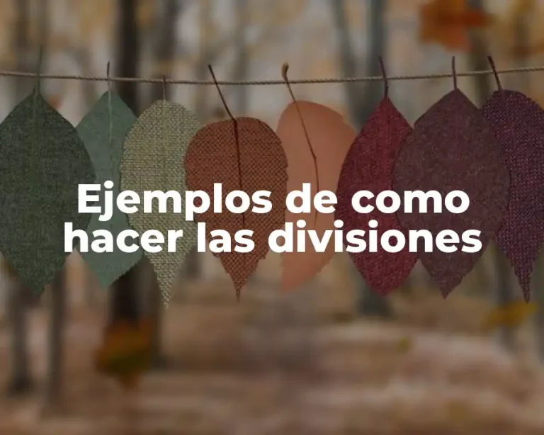Ejemplos de como hacer las divisiones