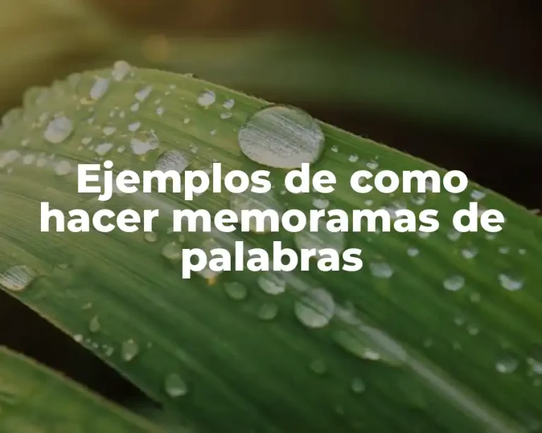 Ejemplos de como hacer memoramas de palabras
