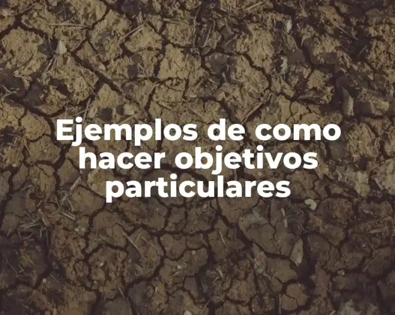Ejemplos de como hacer objetivos particulares