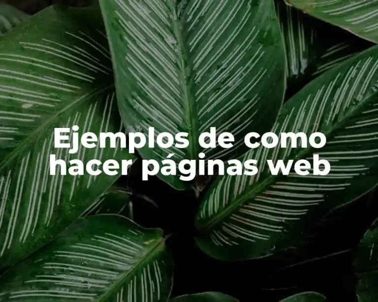 Ejemplos de como hacer páginas web