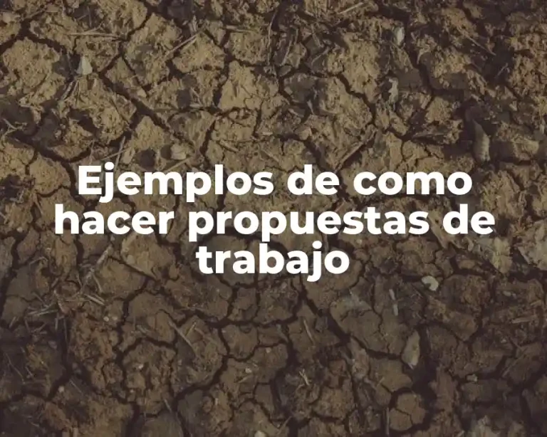 Ejemplos de como hacer propuestas de trabajo
