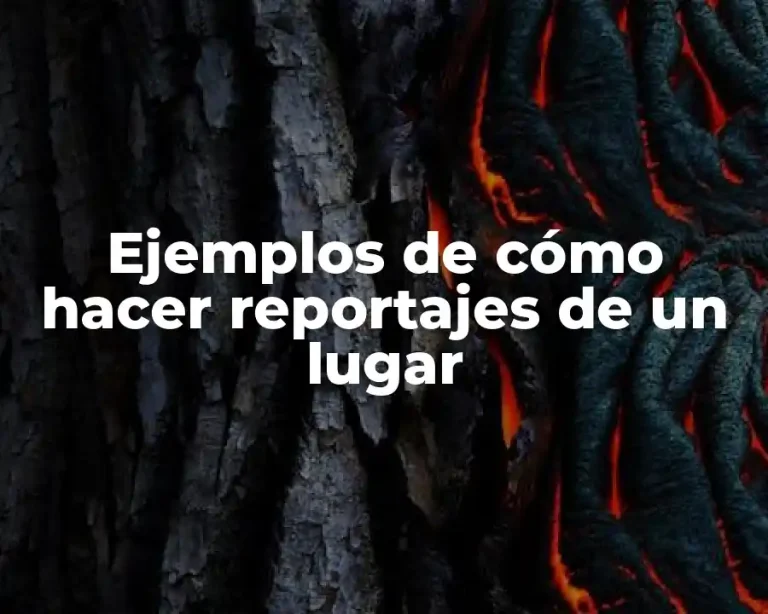 Ejemplos de cómo hacer reportajes de un lugar