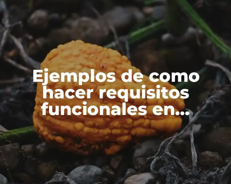 Ejemplos de como hacer requisitos funcionales en ingeniería de software