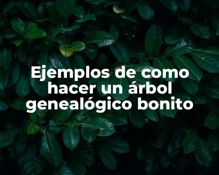 Ejemplos de como hacer un árbol genealógico bonito