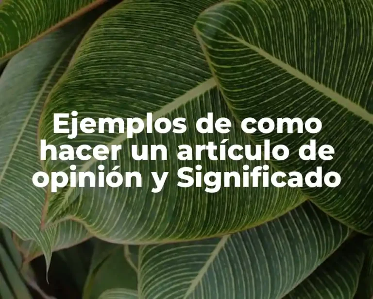 Ejemplos de como hacer un artículo de opinión y Significado